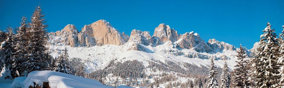 Sípálya Olaszországban: Ski Center Latemar-Obereggen