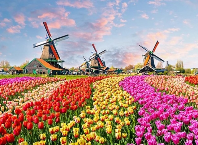 Tulipánok országa Hollandia - Benelux körutazás