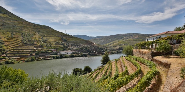 Bortúra Portoban és a Douro-völgyében