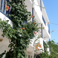 Bay Watch apartmanház - Karpathos, Pigadia Repülővel